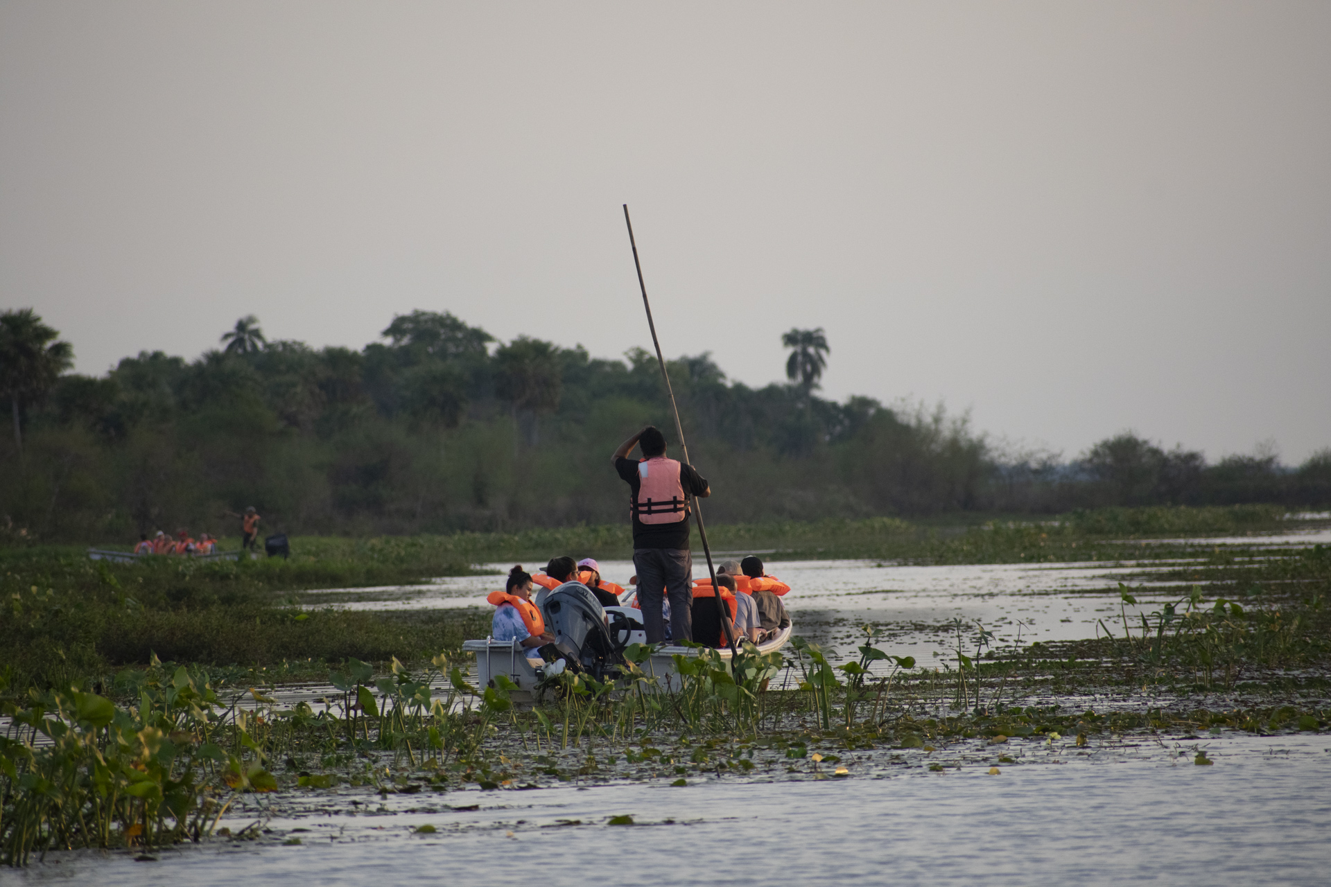 Los Esteros del Iberá es un lugar para deslumbrarse con la fauna local.