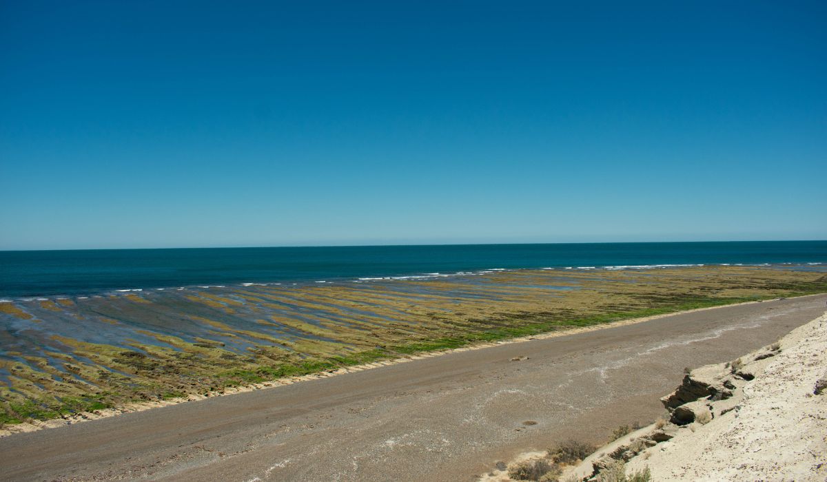 Caleta Valdés Caleta Valdés