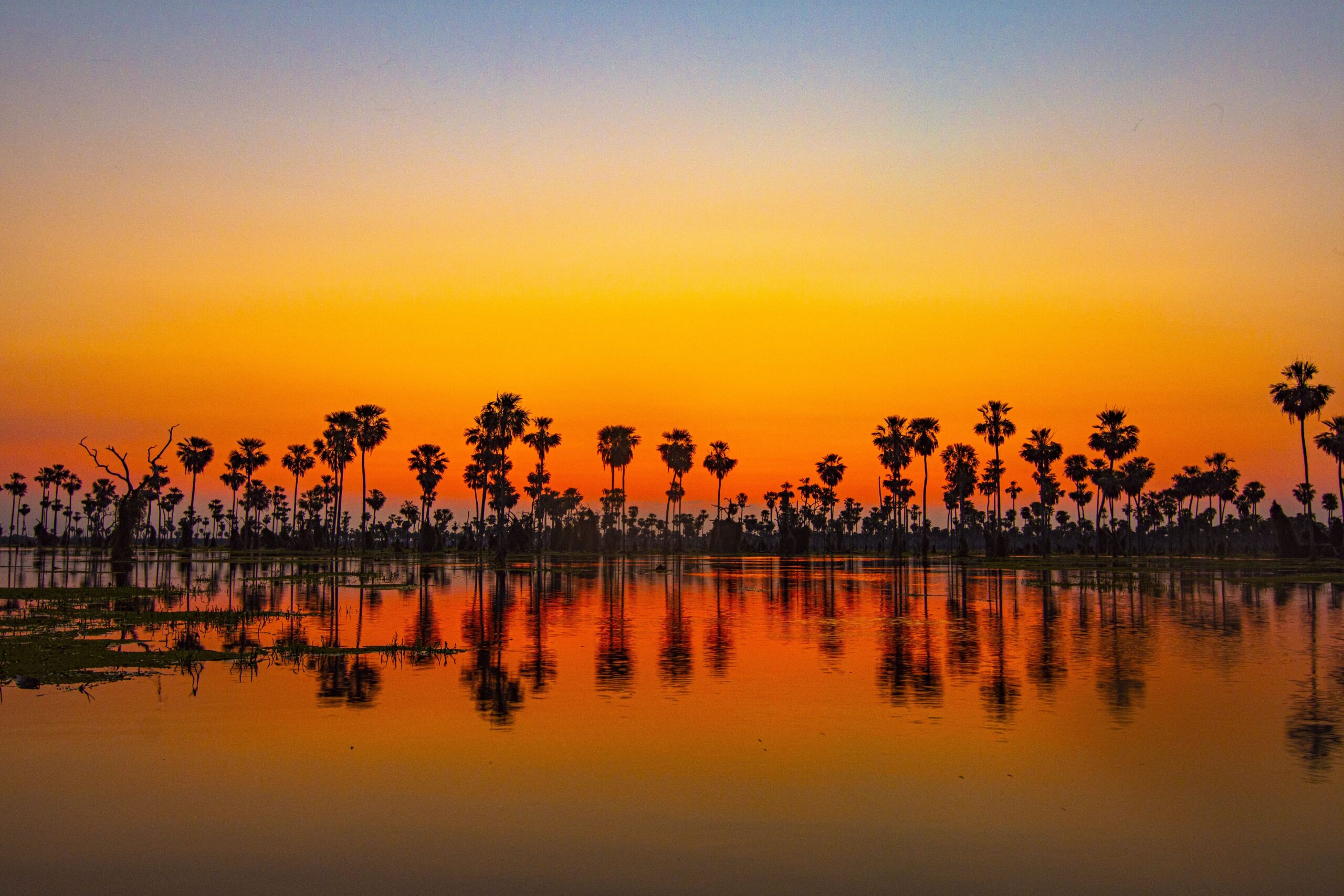 Un atardecer en el Bañado La Estrella